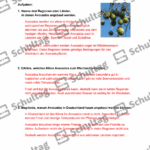 Vorschaubild von Arbeitsblatt