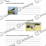 Vorschaubild von Arbeitsblatt