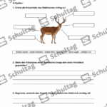 Vorschaubild von Arbeitsblatt