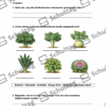 Vorschaubild von Arbeitsblatt