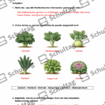 Vorschaubild von Arbeitsblatt