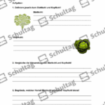 Vorschaubild von Arbeitsblatt