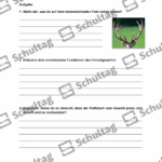 Vorschaubild von Arbeitsblatt