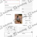 Vorschaubild von Arbeitsblatt