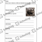 Vorschaubild von Arbeitsblatt