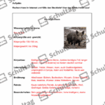 Vorschaubild von Arbeitsblatt