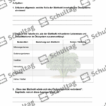 Vorschaubild von Arbeitsblatt