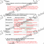 Vorschaubild von Arbeitsblatt