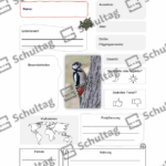 Vorschaubild von Arbeitsblatt