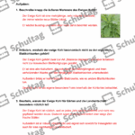 Vorschaubild von Arbeitsblatt