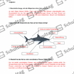Vorschaubild von Arbeitsblatt