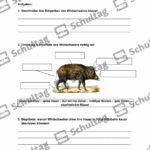 Vorschaubild von Arbeitsblatt