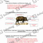 Vorschaubild von Arbeitsblatt