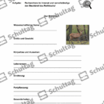 Vorschaubild von Arbeitsblatt