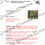 Vorschaubild von Arbeitsblatt