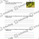 Vorschaubild von Arbeitsblatt