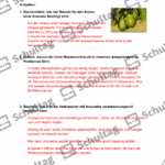 Vorschaubild von Arbeitsblatt