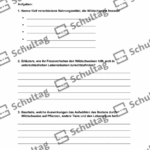 Vorschaubild von Arbeitsblatt