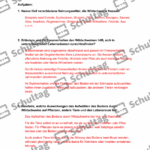 Vorschaubild von Arbeitsblatt