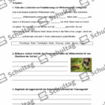 Vorschaubild von Arbeitsblatt