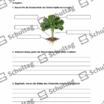 Vorschaubild von Arbeitsblatt