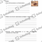 Vorschaubild von Arbeitsblatt