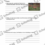 Vorschaubild von Arbeitsblatt