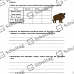 Vorschaubild von Arbeitsblatt