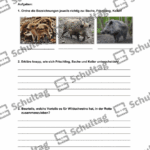 Vorschaubild von Arbeitsblatt