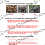 Vorschaubild von Arbeitsblatt