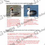 Vorschaubild von Arbeitsblatt