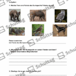 Vorschaubild von Arbeitsblatt