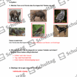 Vorschaubild von Arbeitsblatt