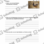 Vorschaubild von Arbeitsblatt