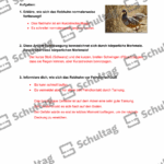 Vorschaubild von Arbeitsblatt