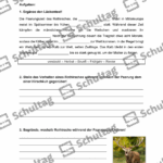 Vorschaubild von Arbeitsblatt