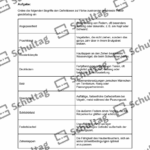 Vorschaubild von Arbeitsblatt