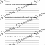 Vorschaubild von Arbeitsblatt