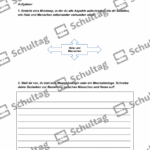 Vorschaubild von Arbeitsblatt