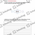 Vorschaubild von Arbeitsblatt