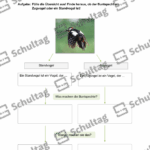 Vorschaubild von Arbeitsblatt