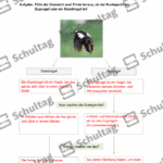 Vorschaubild von Arbeitsblatt