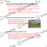 Vorschaubild von Arbeitsblatt