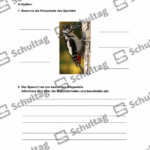 Vorschaubild von Arbeitsblatt