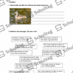 Vorschaubild von Arbeitsblatt