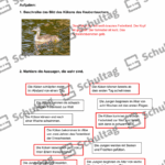 Vorschaubild von Arbeitsblatt