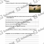 Vorschaubild von Arbeitsblatt