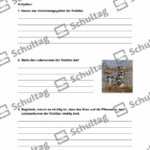 Vorschaubild von Arbeitsblatt