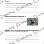 Vorschaubild von Arbeitsblatt