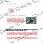 Vorschaubild von Arbeitsblatt